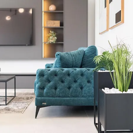 Vila Petrea Novigrad (Dalmatia)